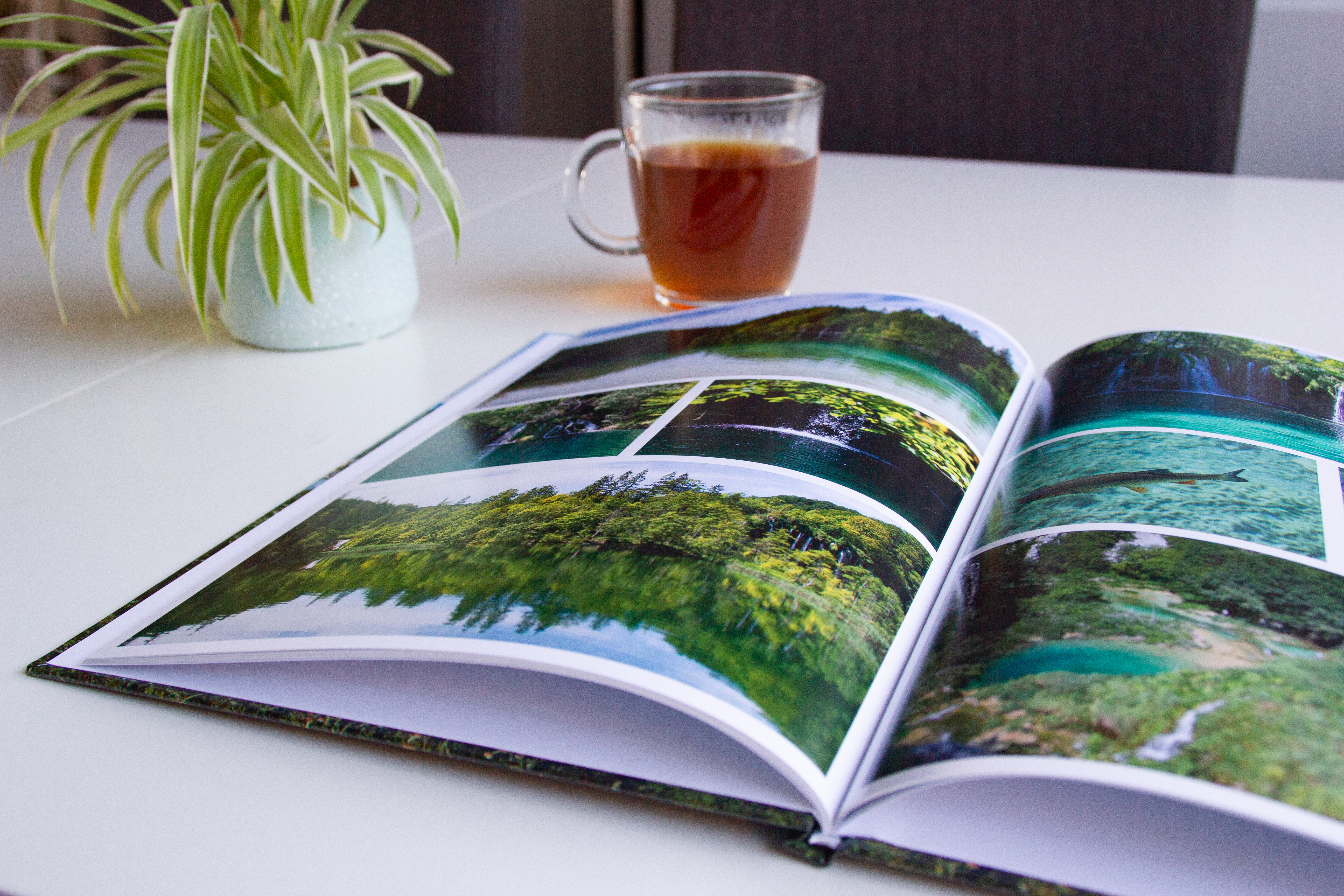 nauwkeurig Manoeuvreren pianist Review: Fotoboek van Fotofabriek - We Travel Together
